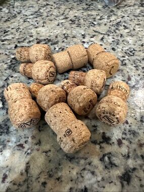 Assorted 10 Champagne Corks - Natural Cork Color
